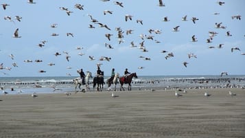 En la playa