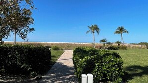 Un sentier pavé mène à une plage bordée de palmiers, sous un ciel bleu et dégagé.