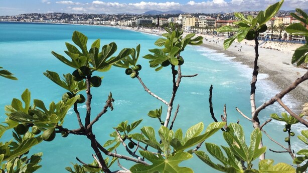 Une vue sur la côte, avec une plage, une eau d’un bleu limpide et des bâtiments en arrière-plan.