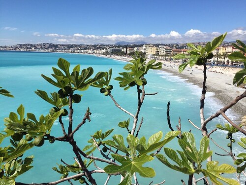 Charming apartment with sea view in a Nice villa