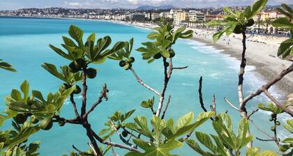 Charming apartment with sea view in a Nice villa