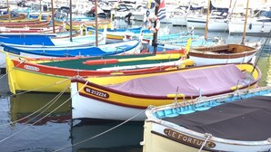 Un port de plaisance où sont amarrés plusieurs bateaux aux couleurs vives.