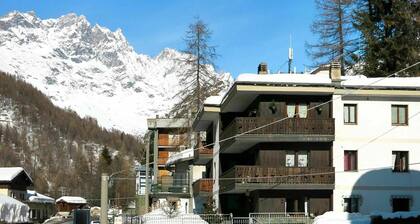 Cosy apartment for 4 people with WIFI, TV, terrace and pets allowed