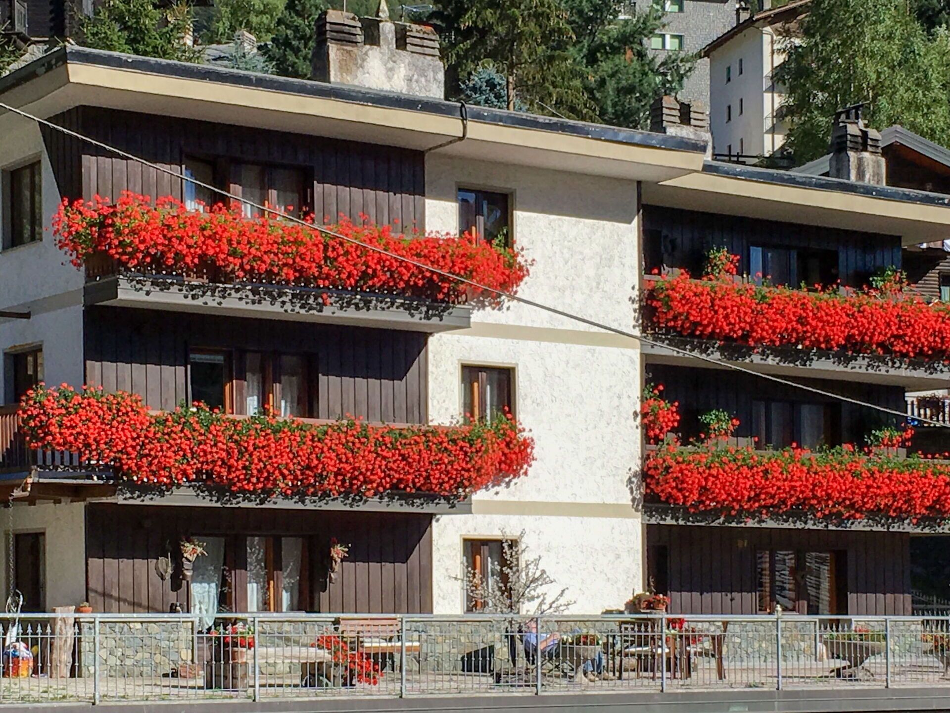 Blume, Daytime, Eigentum, Gebäude, Fenster, Pflanze, Botanik, Vegetation, Fassade, Symmetrie