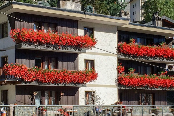 Blume, Daytime, Eigentum, Gebäude, Fenster, Pflanze, Botanik, Vegetation, Fassade, Symmetrie