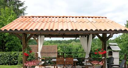 Belle maison de vacances avec piscine privée, WIFI, climatisation, TV, terrasse, animaux admis