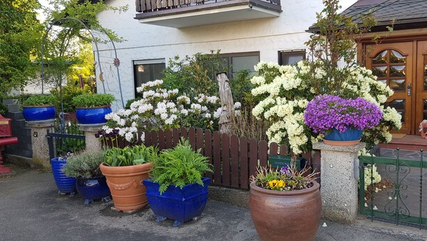 A courtyard with potted plants and a wooden fence. - Großzügige Ferienwohnung in der Schlössergemeinde Küps (Küps - Tüschnitz)