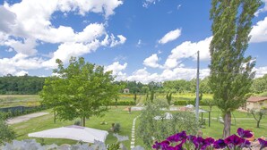 A garden with a white tent, purple flowers, and a clear blue sky.