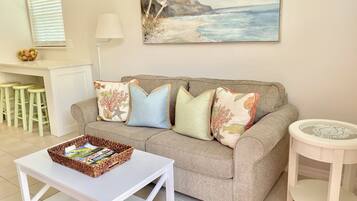 Télévision, lecteur de DVD, livres, vidéothèque