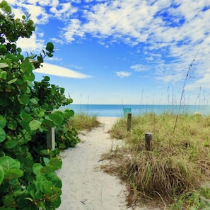 Ein sandiger Pfad führt zu einem Strand, wo ein hölzerner Pfosten mit einem Schild inmitten grüner Vegetation steht.