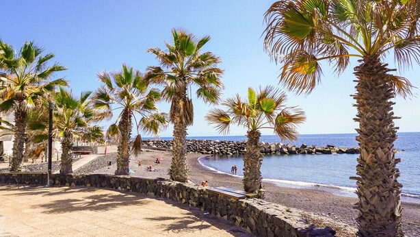 A beach with palm trees and a stone wall. - Las Eras - The House in front of the Sea (Arico)