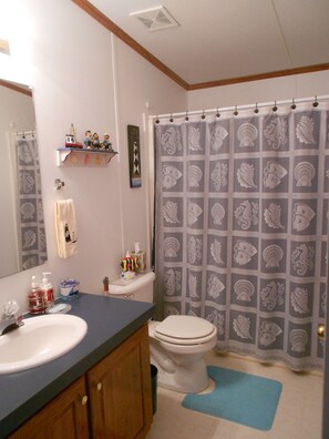 Combined shower/tub, hair dryer, towels, soap