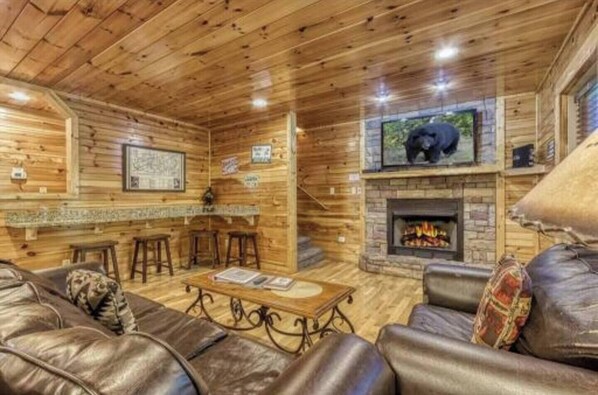 TV, fireplace, video games