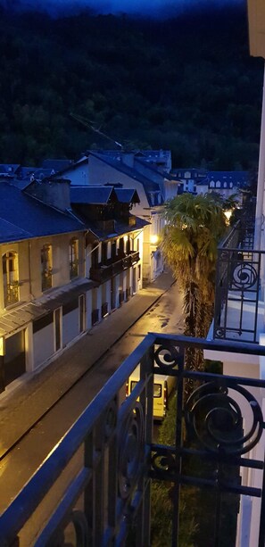 Property grounds - Apartment T2 bis Pyrenees palace  (Bagnères-de-Luchon)