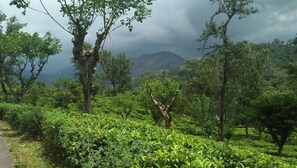 Mountain view - Ella Camping Resort (Ella)