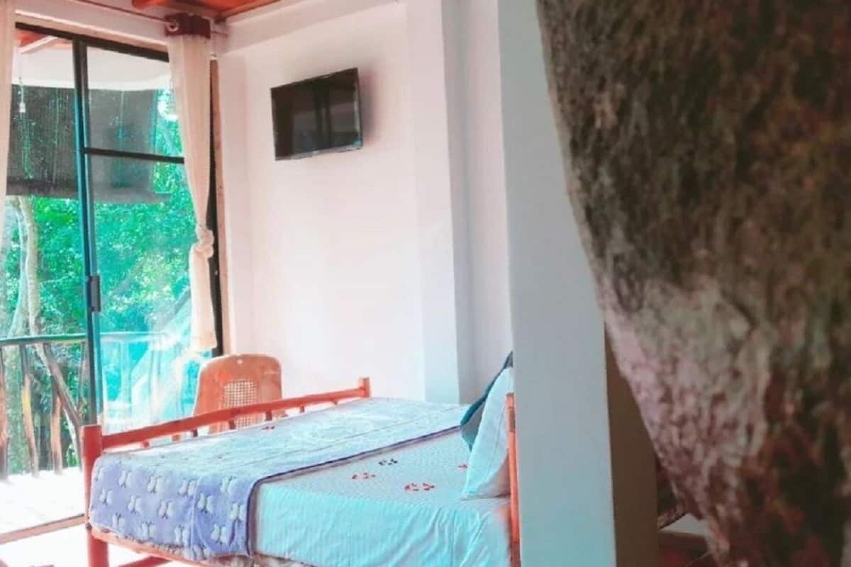 A room with a bed, a chair, a TV on the wall, and a window with a view of greenery.