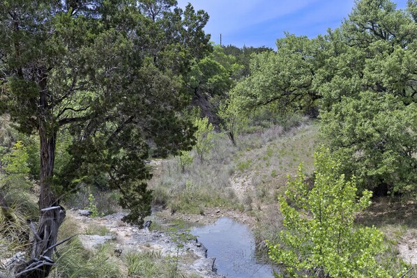 A natural landscape with a stream, trees, and rocky terrain.
