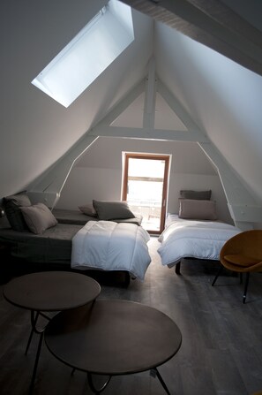 5 bedrooms, desk, iron/ironing board, travel crib - Cottage overlooking Loire (Chênehutte-Trèves-Cunault)