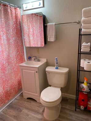 Combined shower/bathtub, hair dryer, towels, soap