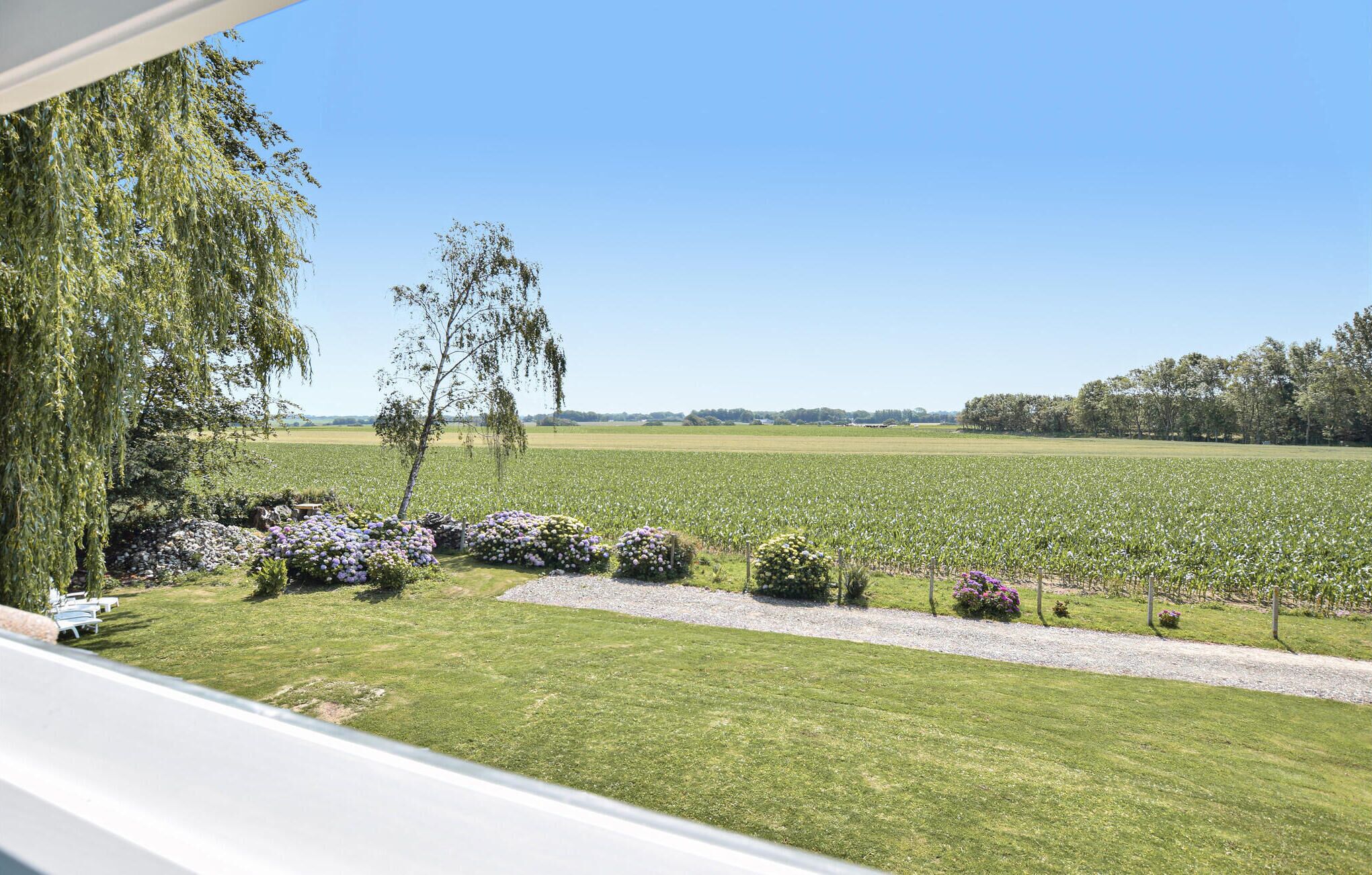 A view from a window overlooking a grassy field with a path, trees, and a clear sky.