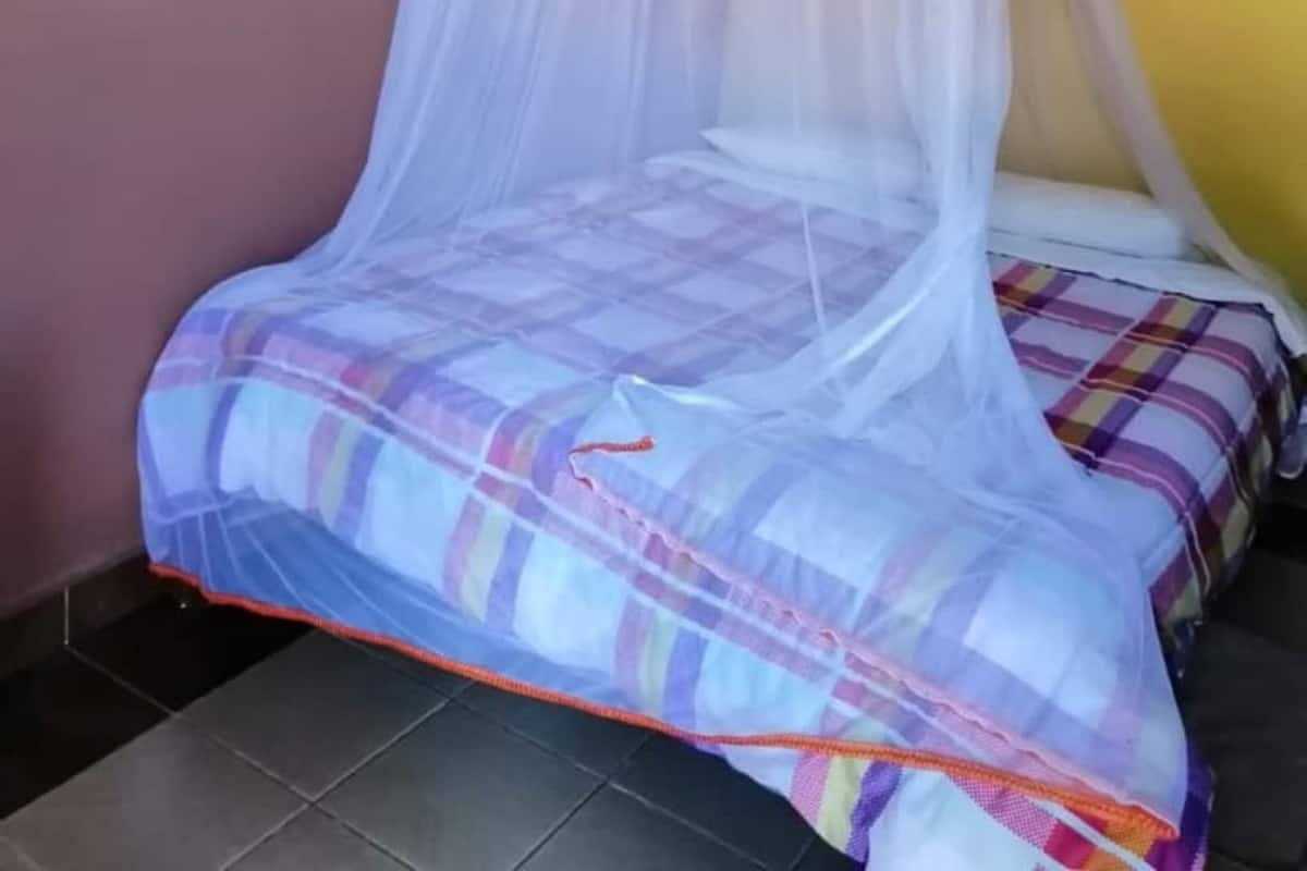 En säng med ett vitt myggnät, ett rutigt sängöverkast och en tavla på väggen.