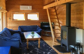 Télévision, cheminée