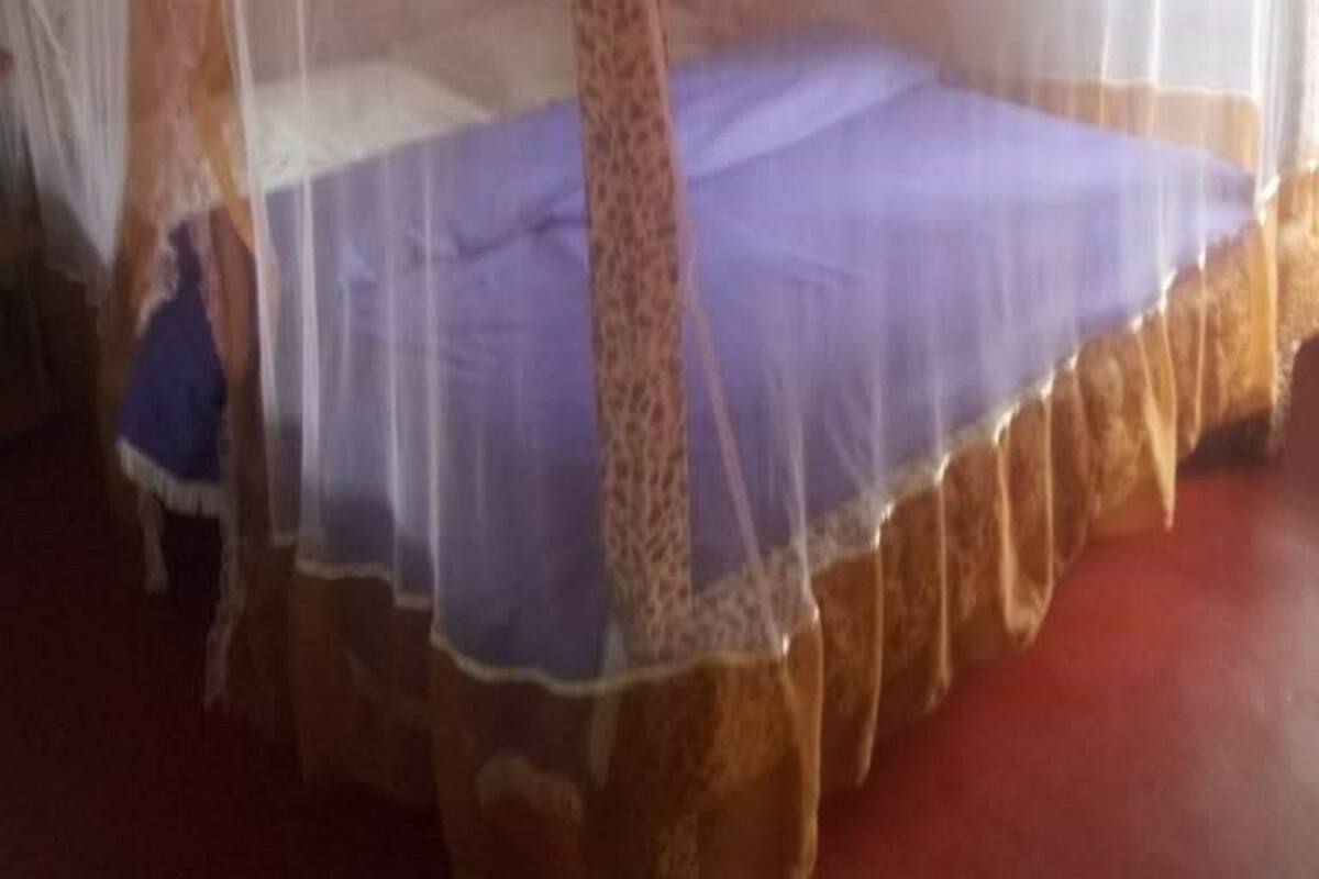 A single bed with a mosquito net and a purple bedspread in a room with a red floor.