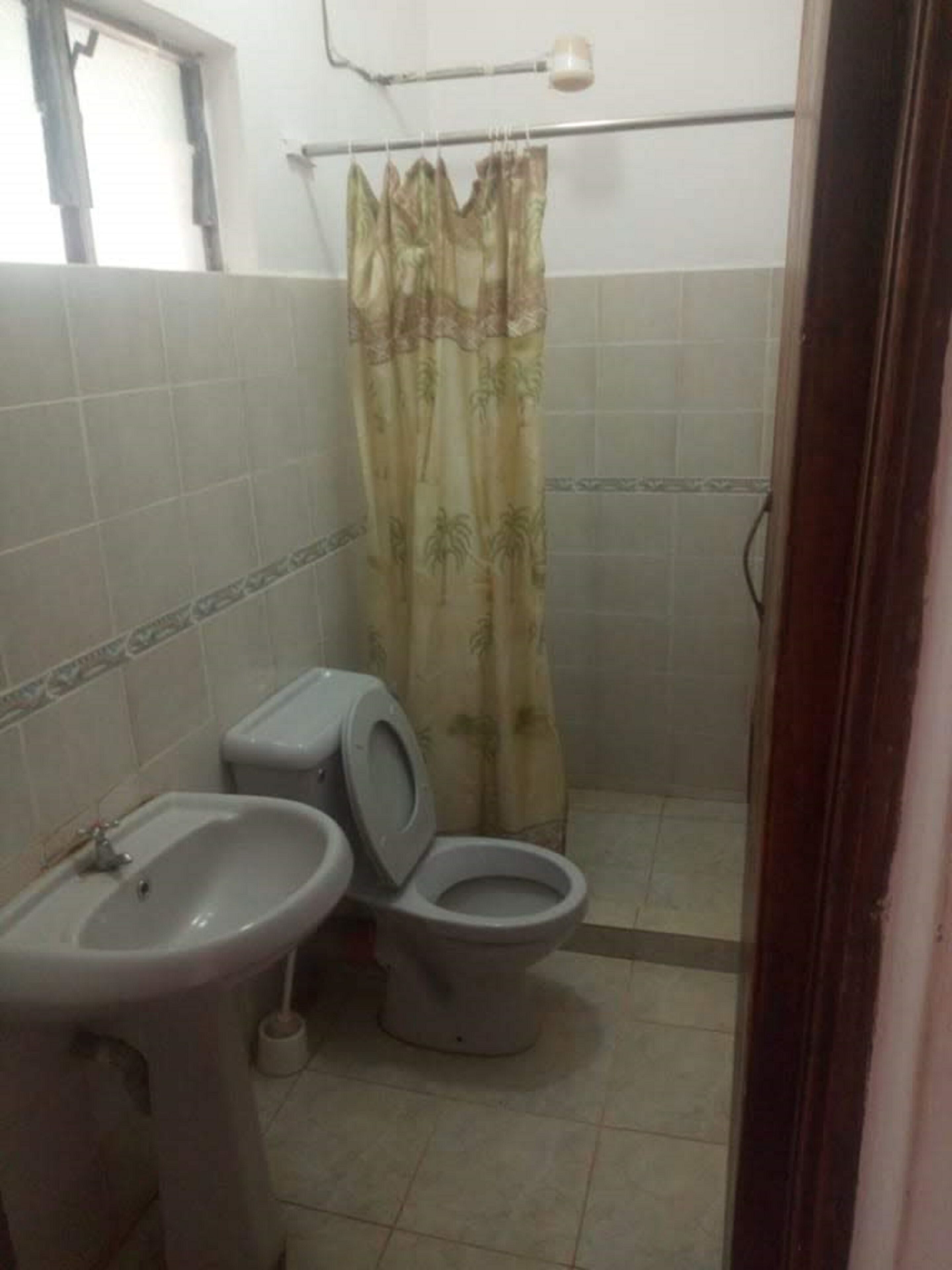 A bathroom with a toilet, sink, and shower curtain.