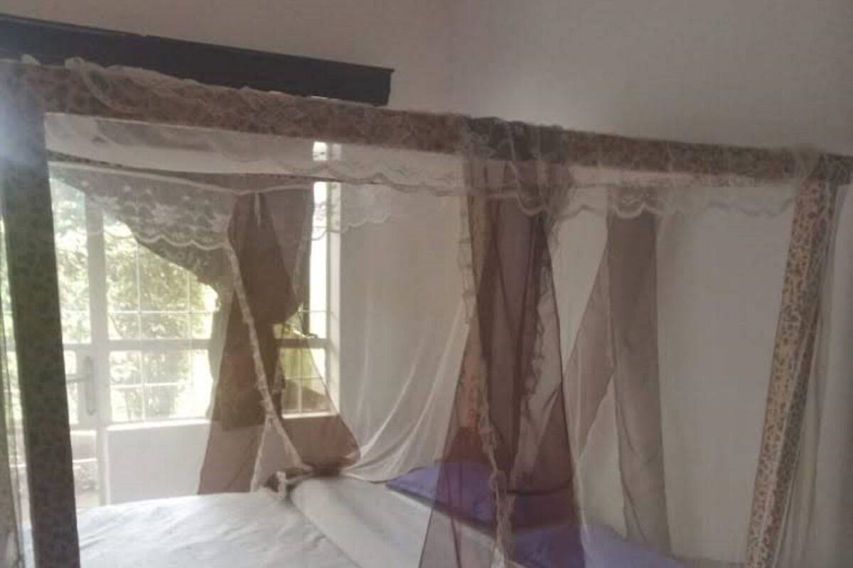 A room with a bed, a window, and a mosquito net.