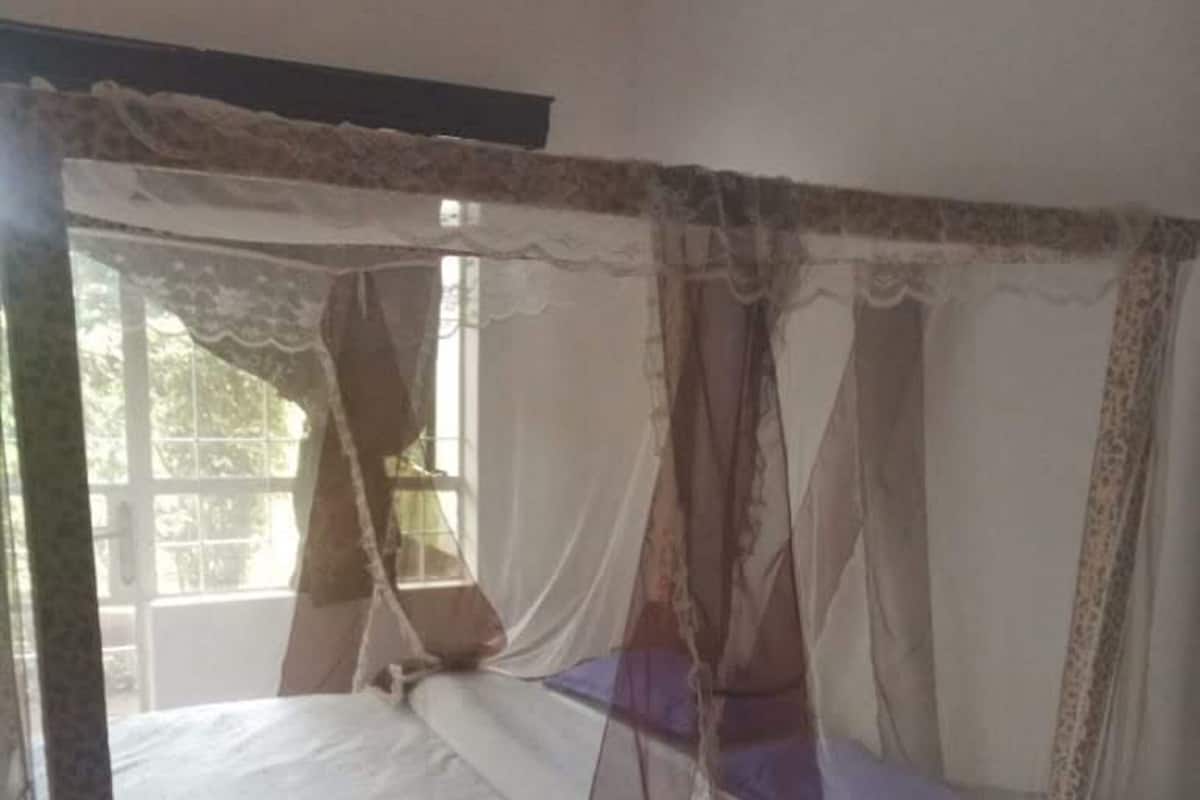 A room with a bed, a window, and a mosquito net.