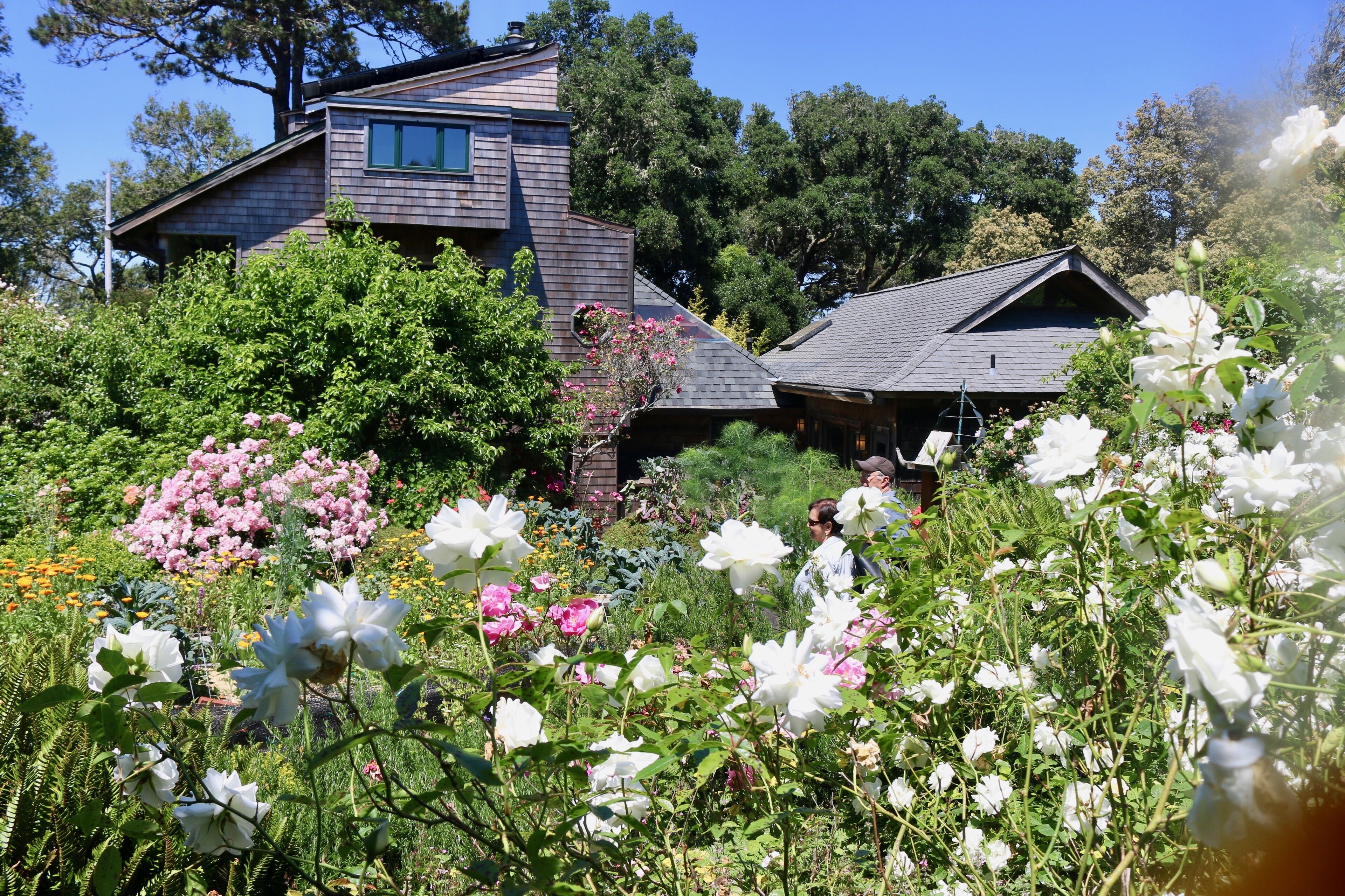 View of the Van der Ryn Eco-Refuge from the back garden , a magical place. 
