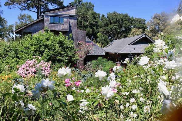 View of the Van der Ryn Eco-Refuge from the back garden , a magical place.