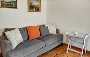 مدفأة، مشغل دي في دي