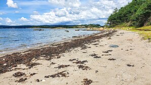 A beach with seaweed on the sand and a clear sky. - Cozy apartment in Svanesund with WiFi (Svanesund)