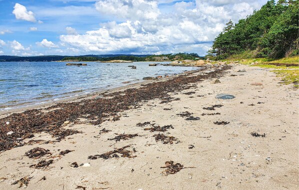 In Strandnähe, Angeln