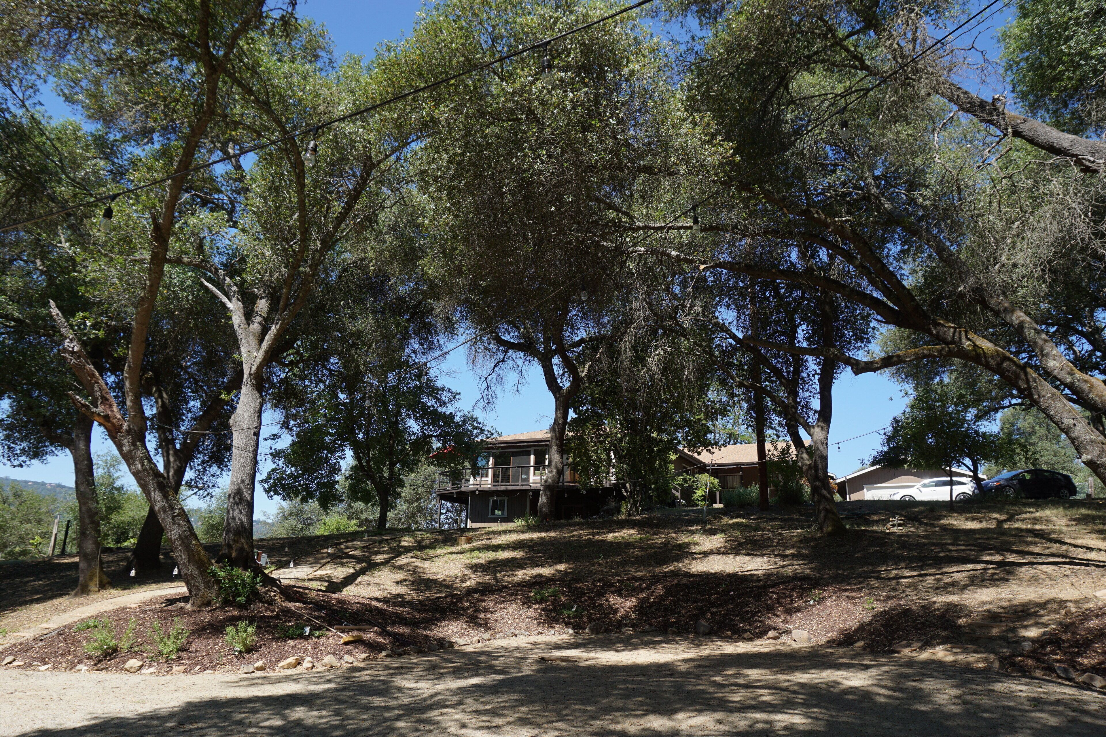 A house surrounded by large trees, with a dirt path leading to it.