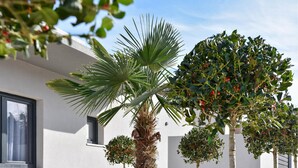 A modern building with a palm tree and a small tree with red berries. - Luxurious home in Split (Split)