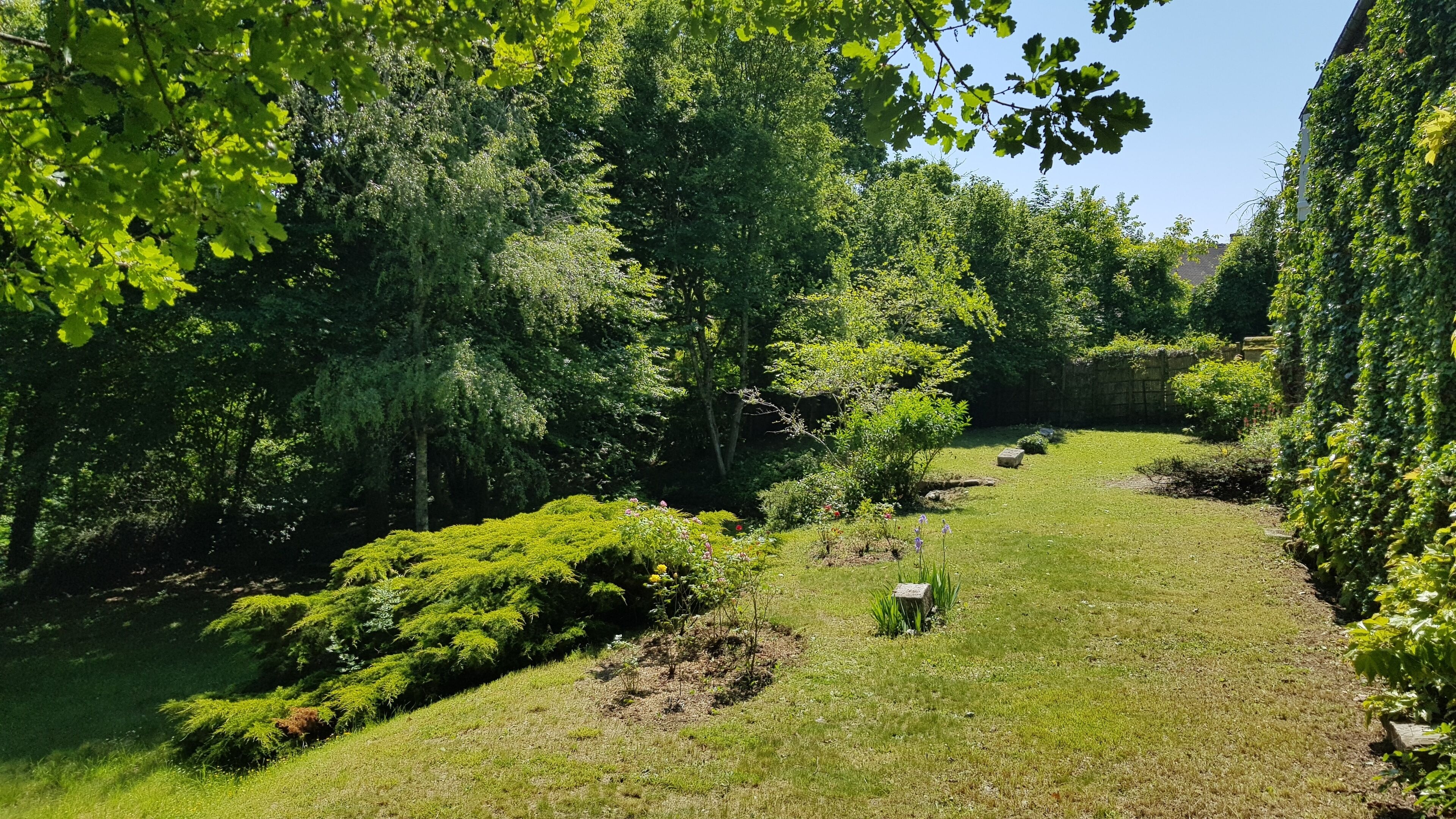 A lush garden with a variety of trees and shrubs, a clear path, and a small pond.