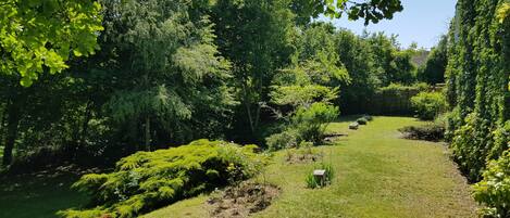 A lush garden with a variety of trees and shrubs, a clear path, and a small pond.