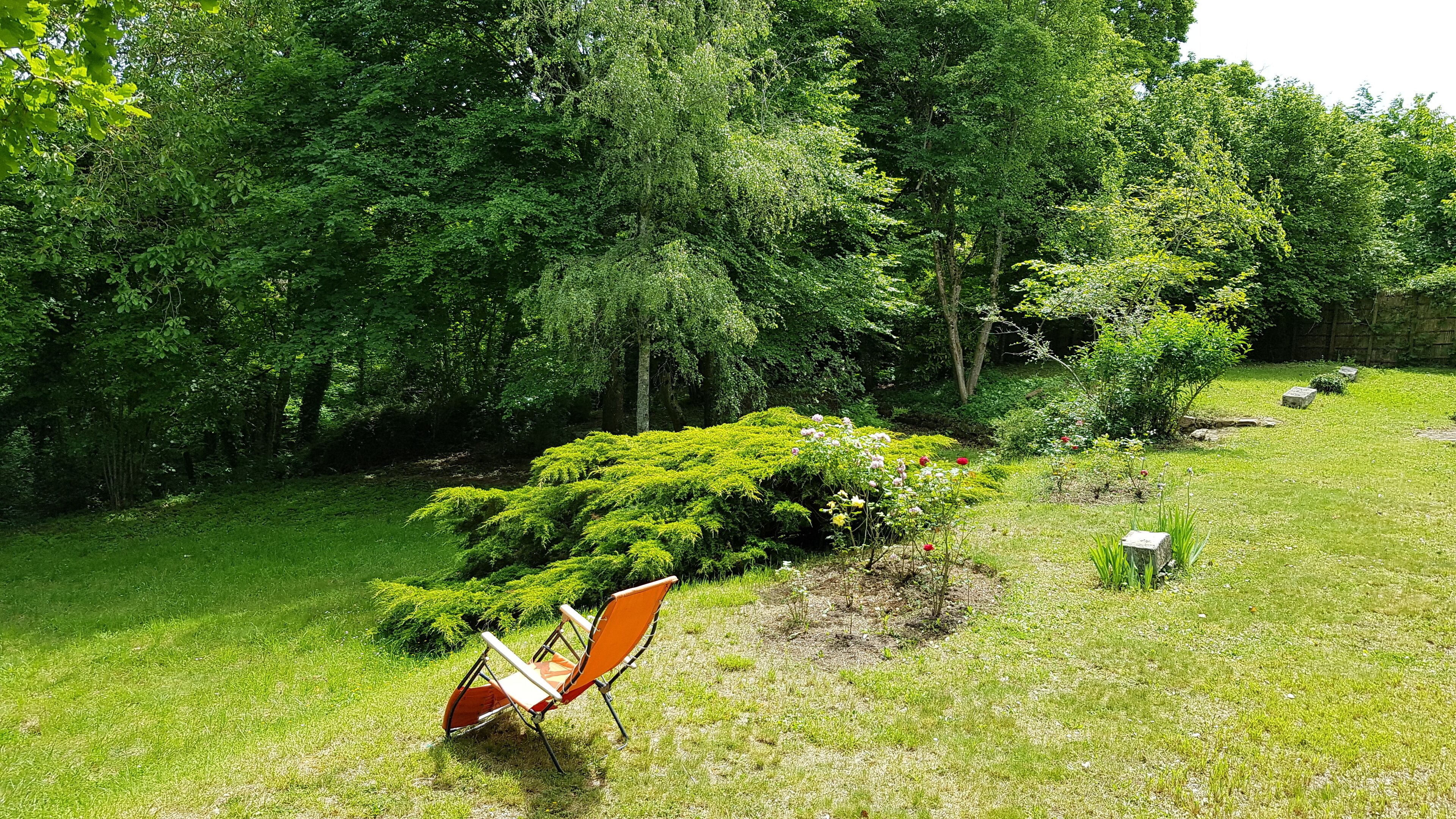 A grassy outdoor area with a chair and a stone bench.