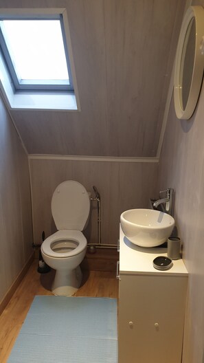 Asciugacapelli, asciugamani, carta igienica