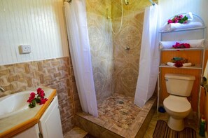 Hair dryer, towels, soap, shampoo