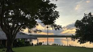 A grassy area with a thatched-roof hut and a large tree in the foreground. - Absolute Beachfront  villa with private beach (Luganville)