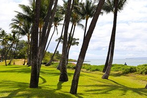 A lush green landscape with tall palm trees and a view of the ocean. - Oceanfront, Exceptionally Remodeled, Split A/C, King bed, OH the sunsets (Kihei)