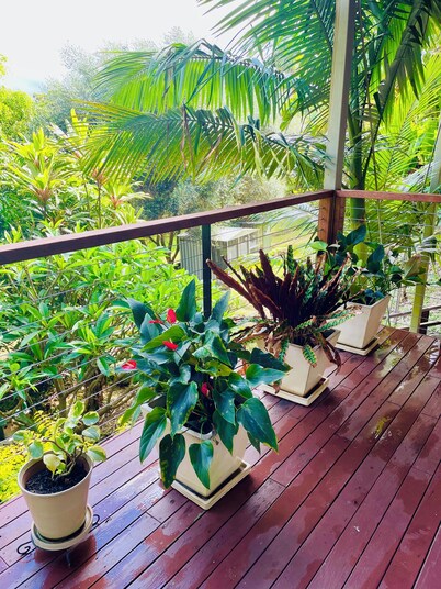 Grandview Retreat, Hinterland Self Contained Apartment