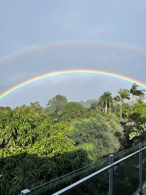 Vista desde la propiedad