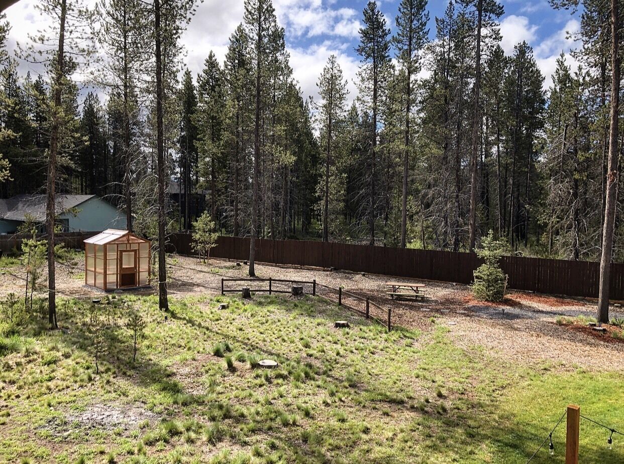 A fenced outdoor area with a small wooden structure, surrounded by tall trees and a wooden fence.