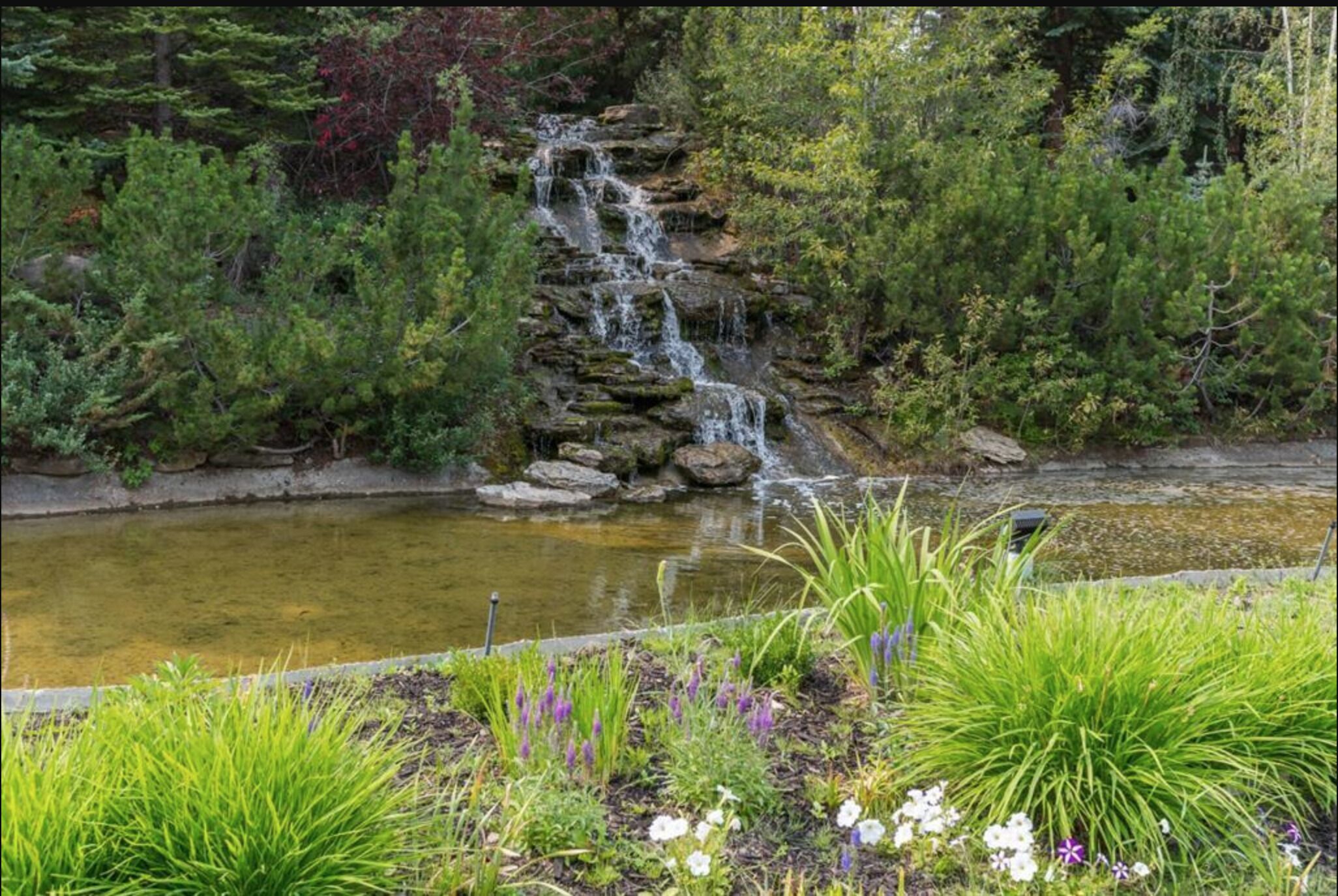 A waterfall cascading over rocks into a pond surrounded by lush greenery and flowering plants.