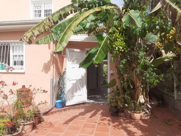 Enjoy an outdoor space surrounded by lush greenery and a variety of potted plants.
