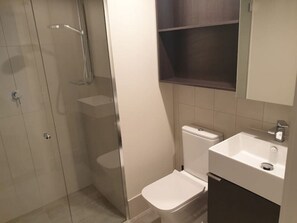Combined shower/bathtub, hair dryer, towels